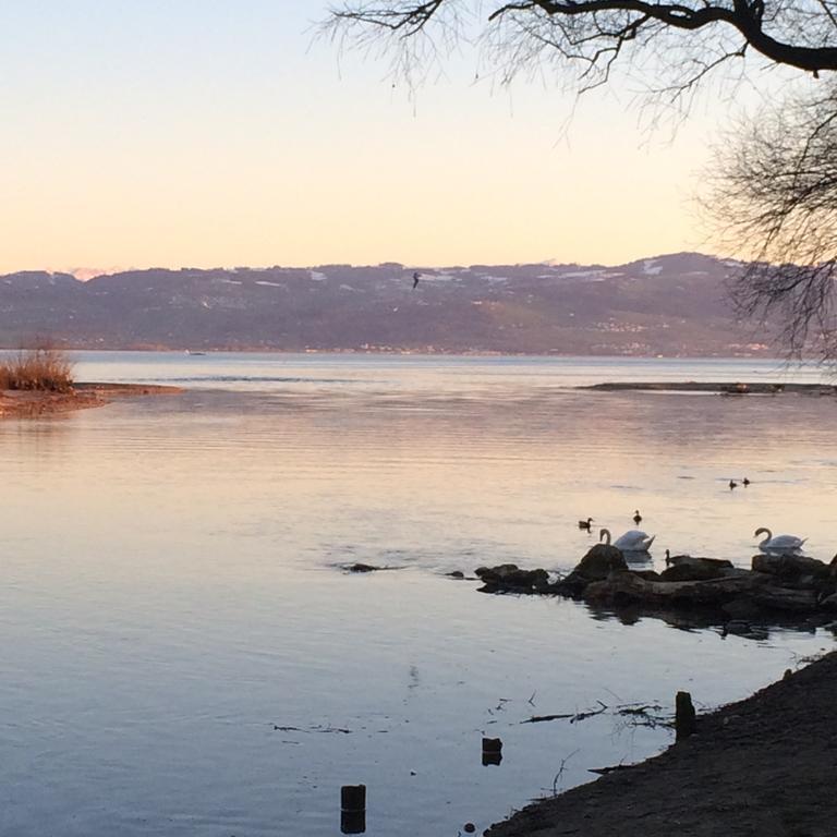 Ferienwohnung Am Bodensee Кресброн Экстерьер фото